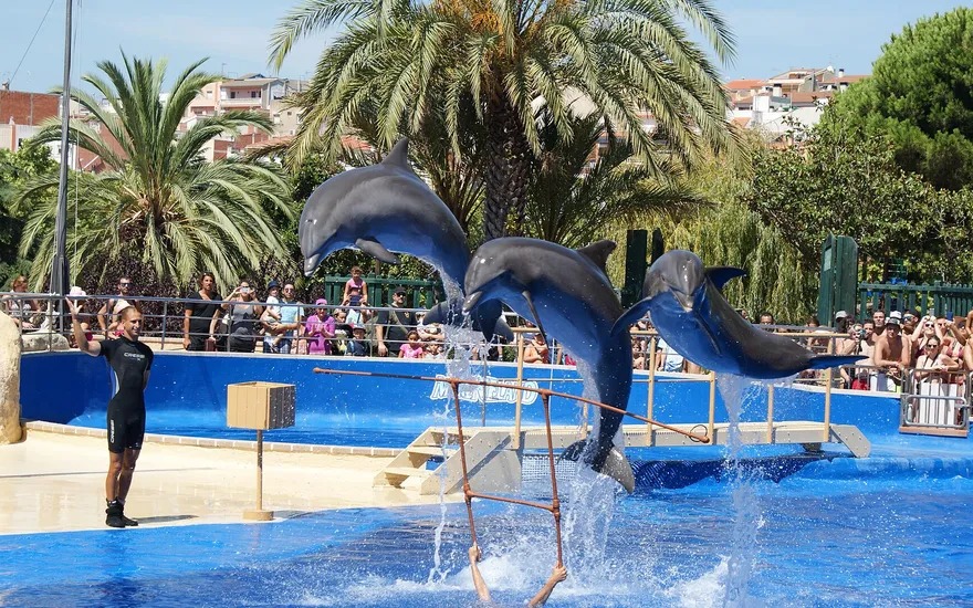 Marineland Catalunya, Palafolls